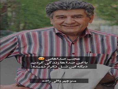  صداهایی که جاودانه شدند؛ نوستالژی دوبلورهای ایران