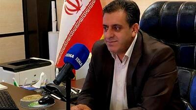  فعالیت زنبورهای گالزا در بلوط‌های بدره تهدیدی برای جنگل محسوب نمی‌شود