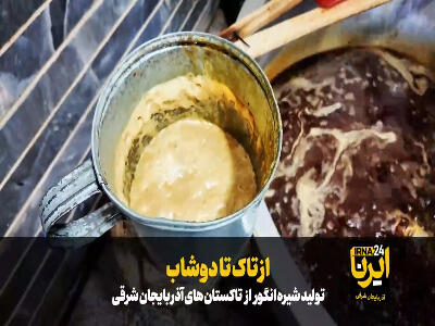  از تاک تا دوشاب