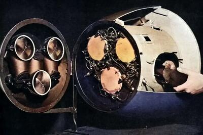  کبوترهایی در نقش خلبان بمب؛ داستان ناگفته پروژه هدایتگر موشکی آمریکا در جنگ جهانی دوم