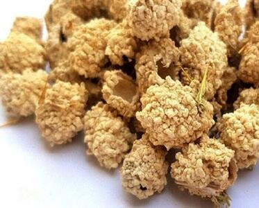  شکر تیغال چیست و چه خواصی دارد؟