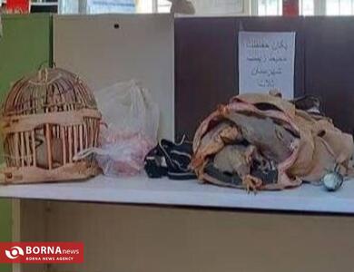  زمین‌گیر شدن شکارچیان متخلف در «تله‌تو» / عملیات پنج‌ساعته محیط‌بانان ثلاث باباجانی به ثمر نشست