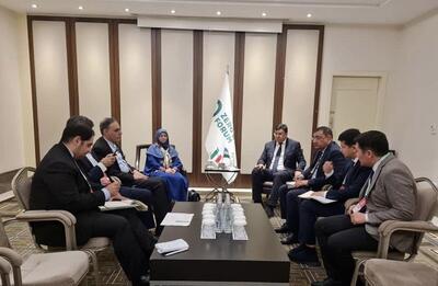  برای مقابله با گردوغبار و حفاظت از گونه‌های نادر کارگروه مشترک ایران و ازبکستان  تشکیل شد