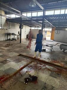  کشتارگاه دام بندرعباس به دلیل تهدید علیه سلامت عمومی پلمب شد