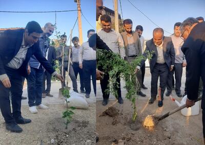  برگزاری آیین درختکاری به مناسبت گرامیداشت هفته تربیت بدنی و ورزش در ایذه