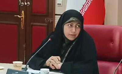  کلینیک‌های ناباروری در استان قزوین ظرفیت کافی برای خدمت رسانی را ندارند