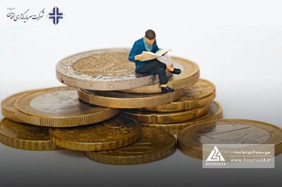  سرمایه گذاری لقمان سهم خود در یک شرکت را بالا برد