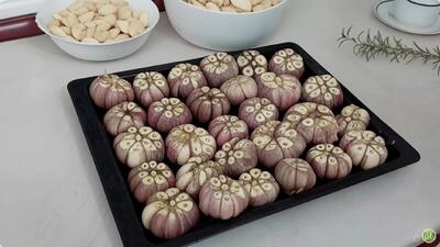  بهترین روش نگهداری از سیر برای تمام طول زمستان / تا ۱ سال سیر تازه و سالم میماند