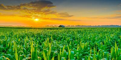  واردات ۲۲میلیون تن کالای اساسی در سال