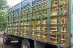  کشف بیش از 7 تن مرغ زنده خارج از شبکه توزیع در مشگین شهر