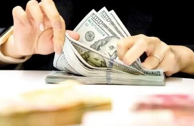  بازگشت سیاست ارزی دستوری؛ مسکن موقتی برای تب بازار ارز - ایران ویو 24