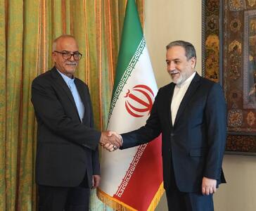 دیدار سرکنسول جدید ایران در ارزروم ترکیه با عراقچی