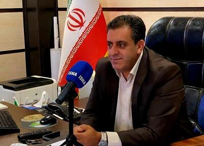  فعالیت زنبورهای گالزا در بلوط‌های بدره طبیعی است و تهدیدی برای جنگل محسوب نمی‌شود