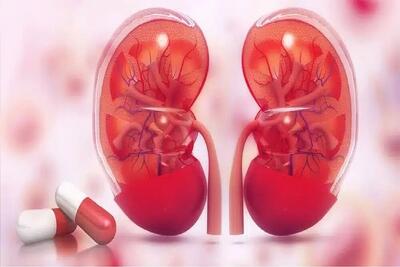  تولید اولین مولکول داروی کاهش رد پیوند کلیه/صرفه‌جویی ۳.۵ میلیون دلاری با بومی‌سازی دارو