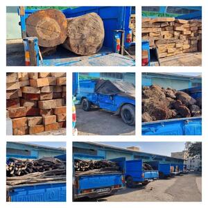  قاچاقچیان چوب و خاک پیت در دام مأموران یگان حفاظت منابع طبیعی اردبیل