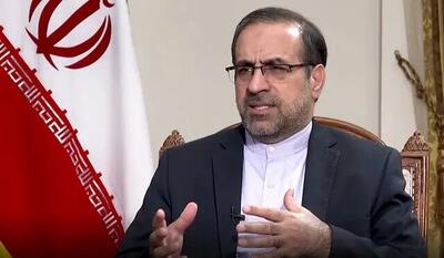  سفیر ایران در دهلی نو: ایران و هند شرکای طبیعی یکدیگرند