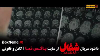 شغال قسمت ۸ فیلم سریال ایرانی