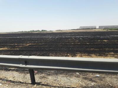  مدیرکل محیط‌زیست تهران: پسماندسوزی در فصل سرما ممنوع است