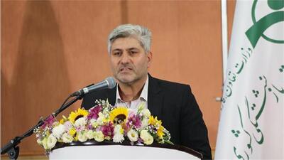  آینده روشن برای بازنشستگان: بسته‌های خدماتی جدید در راه است