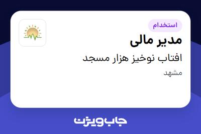  استخدام مدیر مالی در افتاب نوخیز هزار مسجد