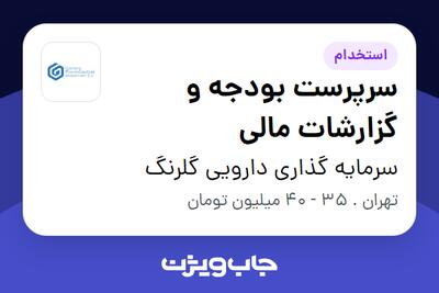  استخدام سرپرست بودجه و گزارشات مالی در سرمایه گذاری دارویی گلرنگ