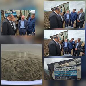  صید ماهیان استخوانی از مرز ۷۰ تُن گذشت