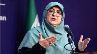  سخنگوی دولت: موضوع زاینده‌رود در شورای عالی آب، در حال بررسی است