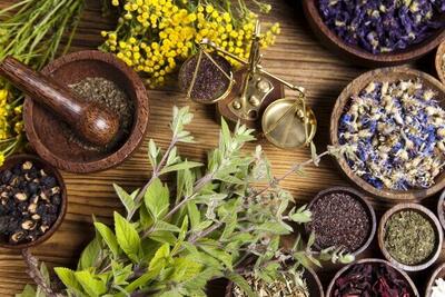  اطلس کاربردی گیاهان دارویی خراسان جنوبی رونمایی شد