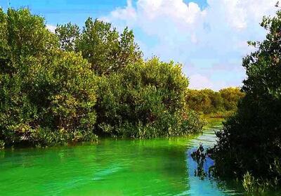 سهیلی، تندیس زیبایی در جنوب ایران/ مدلی جهانی برای توسعه پایدار قشم - تسنیم