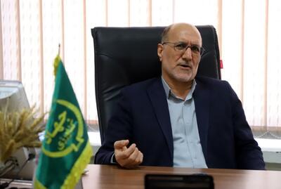  وضعیت دیم‌زارها در چارچوب برنامه الگوی ملی کشت مشخص شود