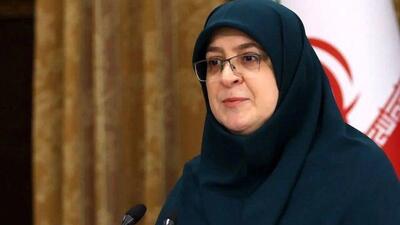 سخنگوی دولت: دولت به دنبال کنترل قیمت‌هاست
