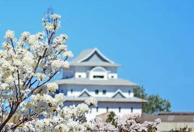  آسائی؛ ژاپن کوچک در برزیل (+عکس)