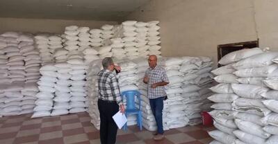  نظارت بر توزیع نهاده های کشاورزی در قزوین تشدید می شود