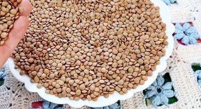  وقتی هیچی نداری این شام خوشمزه نجاتت میده!