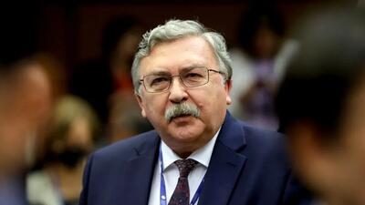  استقبال اولیانوف از ابلاغ قانون پیوستن ایران به سی‌اف‌تی