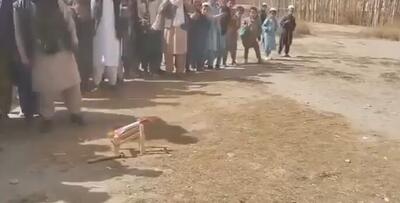  ویدیوی خنده‌دار از یک آزمایش موشکی وایرال شد!