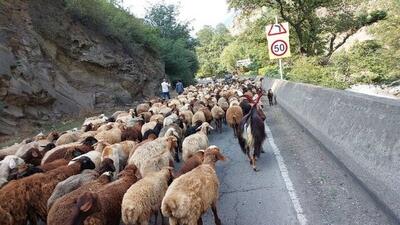  جاده چالوس در حال حاضر مسدود است