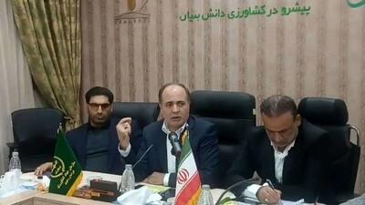  خوداتکایی ۸۶ درصدی کشور در تولید شکر