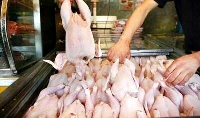  جریمه ۴۳ میلیارد تومانی متخلفان عرضه مرغ گرم در گیلان
