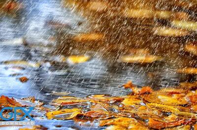  خودنمایی پاییز در آذربایجان غربی/باد و باران در راه است