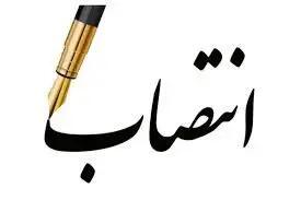 انتصاب سرپرست جدید سازمان مدیریت و نظارت بر تاکسیرانی شهر تهران