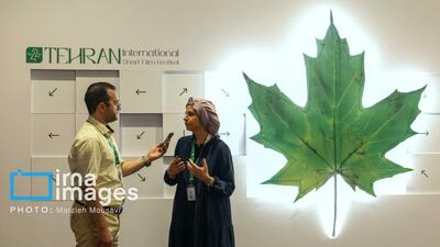  فیلم/ آغاز ماراتن «جشنواره ۴۲ فیلم کوتاه»