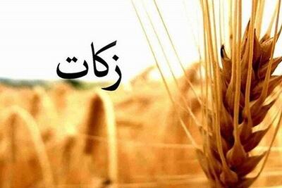  جمع‌آوری ۸۱ میلیارد تومان زکات در کردستان/ رشد ۴۰ درصدی نسبت به سال گذشته
