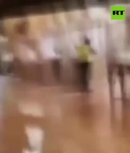  تصاویر تازه از لحظه سرقت از موزه لوور مقابل چشم بازدیدکنندگان