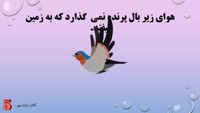  کلیپ مربوط به درس فرفره های چرخان علوم کلاس پنجم