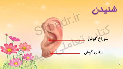  صفحه 50 علوم کلاس پنجم