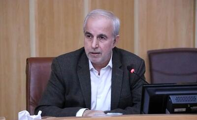 کوچکی‌نژاد: هدف قانون، حمایت از اقشار ضعیف و حذف یارانه ثروتمندان است