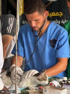  رژیم اسرائیل دامپزشک نجات دهنده حیوانات در غزه را شهید کرد + عکس ها