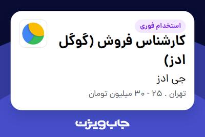  استخدام کارشناس فروش (گوگل ادز) - خانم در جی ادز