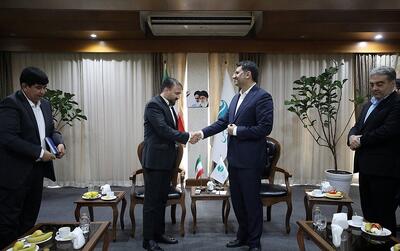  بازگشت کورس زمستانی سوارکاری به جزیره کیش پس از ۱۸ سال